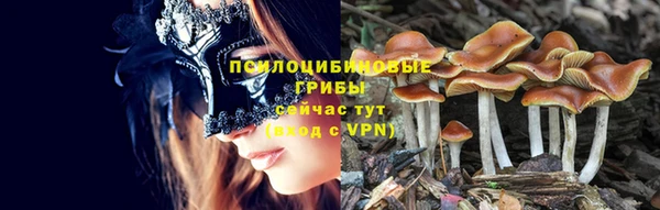 мяу мяу мука Богородицк