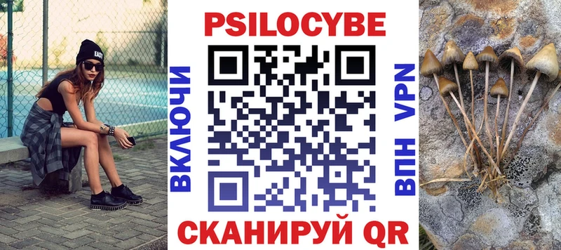 Галлюциногенные грибы Magic Shrooms  площадка телеграм  Гатчина 