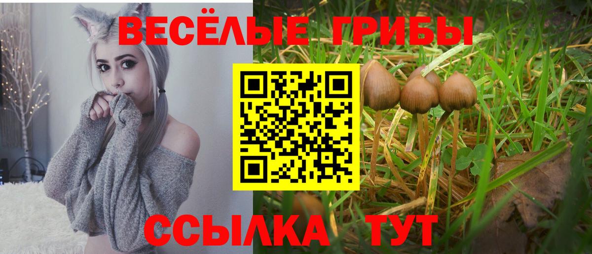 Галлюциногенные грибы ЛСД  Вход с VPN  Псилоцибиновые грибы мицелий  Гатчина 