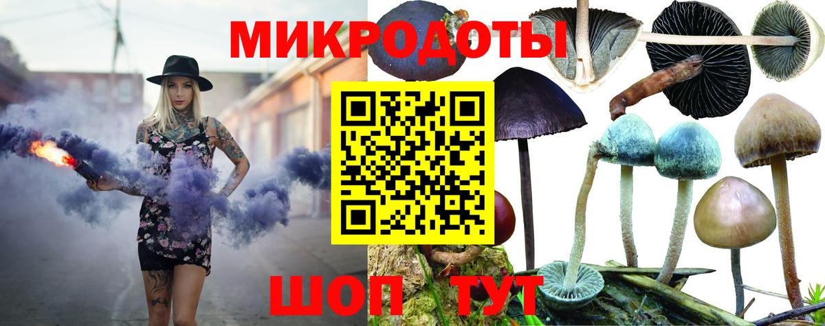 Псилоцибиновые грибы MAGIC MUSHROOMS Гатчина
