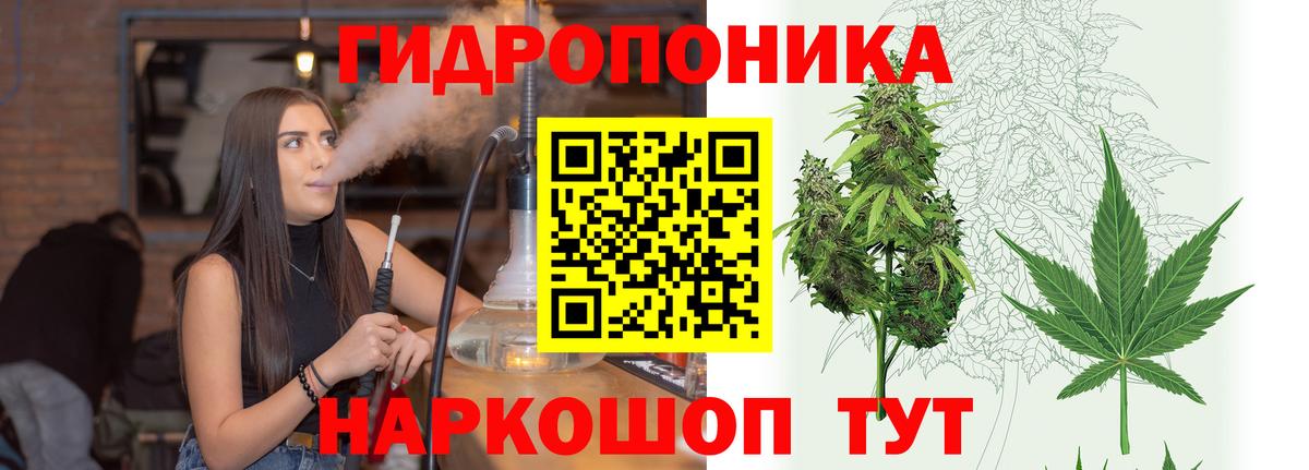 Каннабис конопля  Канабис тримм  Вход с VPN  Гатчина  МАРИХУАНА гибрид 